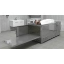 Frigider mortuar combinat