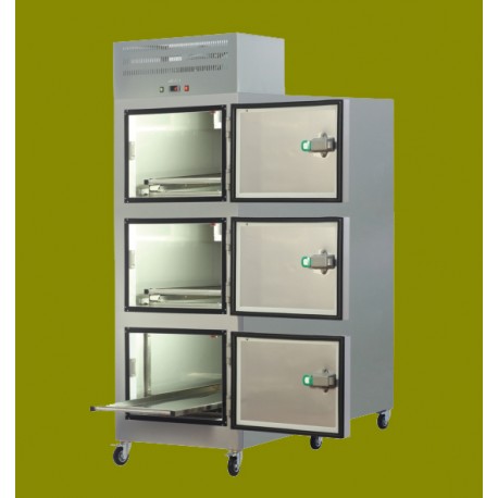 Frigider mortuar RX3010